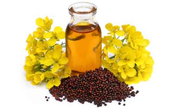 Mustard oil for graying of hair