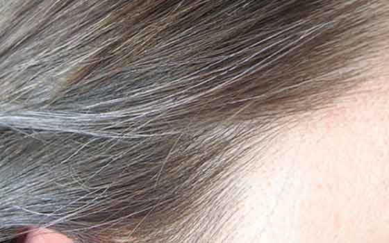 graying hair