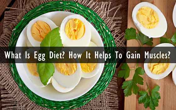 Egg Diet and muscle building