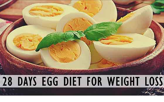 Egg Diet  for weight loss