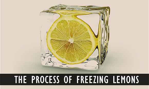 Process Freezing Lemon