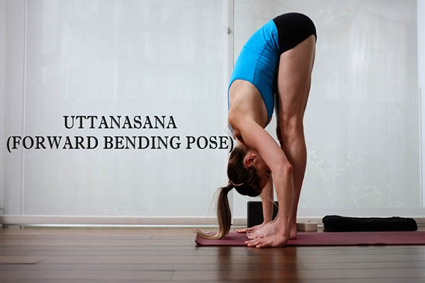 Best Yoga Asanas For Weight Gain - Health & Wellness