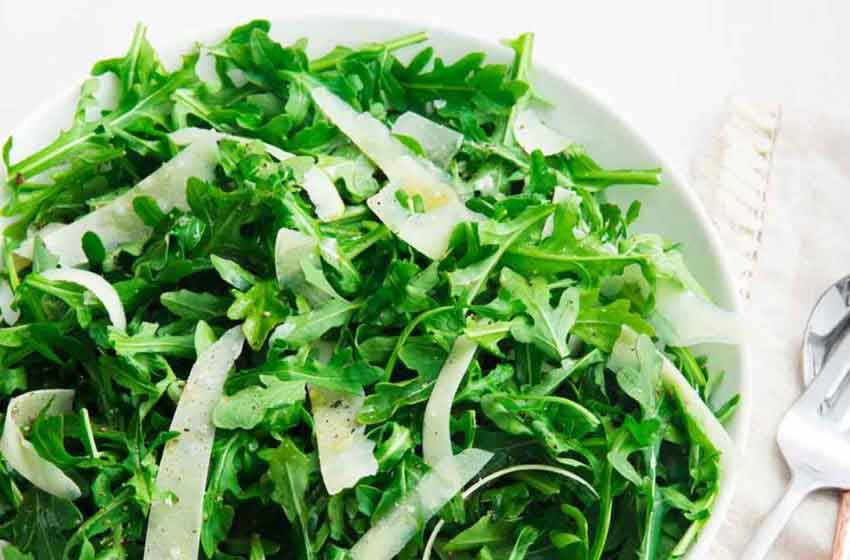  Arugula Salad Benefits