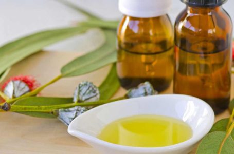12 Marvelous Herbs To Clear Mucus From The Body