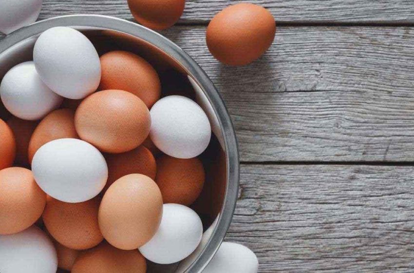  Brown Vs White Eggs – What’s The Difference?