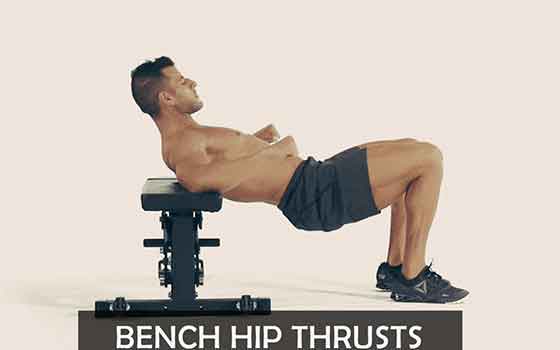 Bench Hip Thrust
