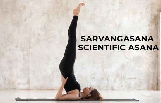 Sarvangasana scientific asana 