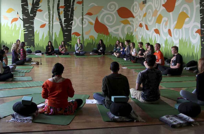  Mindful Meditation Yoga And Buddhism The Power Triangle